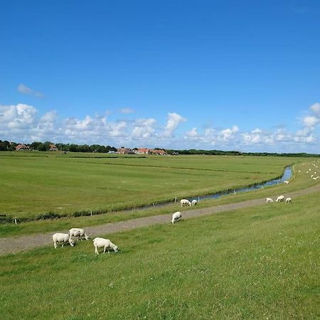 De Oostkamer; Eiland Appartement Naast Natuurgebied Boschplaat Oosterend  المظهر الخارجي الصورة