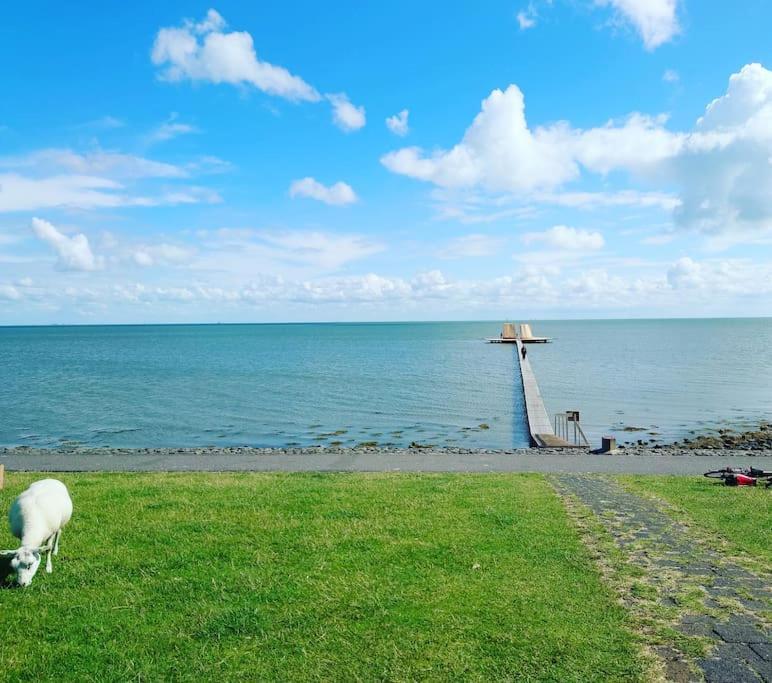 De Oostkamer; Eiland Appartement Naast Natuurgebied Boschplaat Oosterend  المظهر الخارجي الصورة